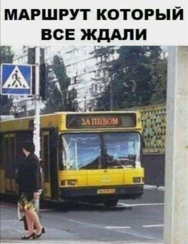 МАРШРУТ который