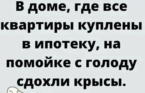В доме где все квартиры куплены в ипотеку на помойке с голоду рЕдохли крысы