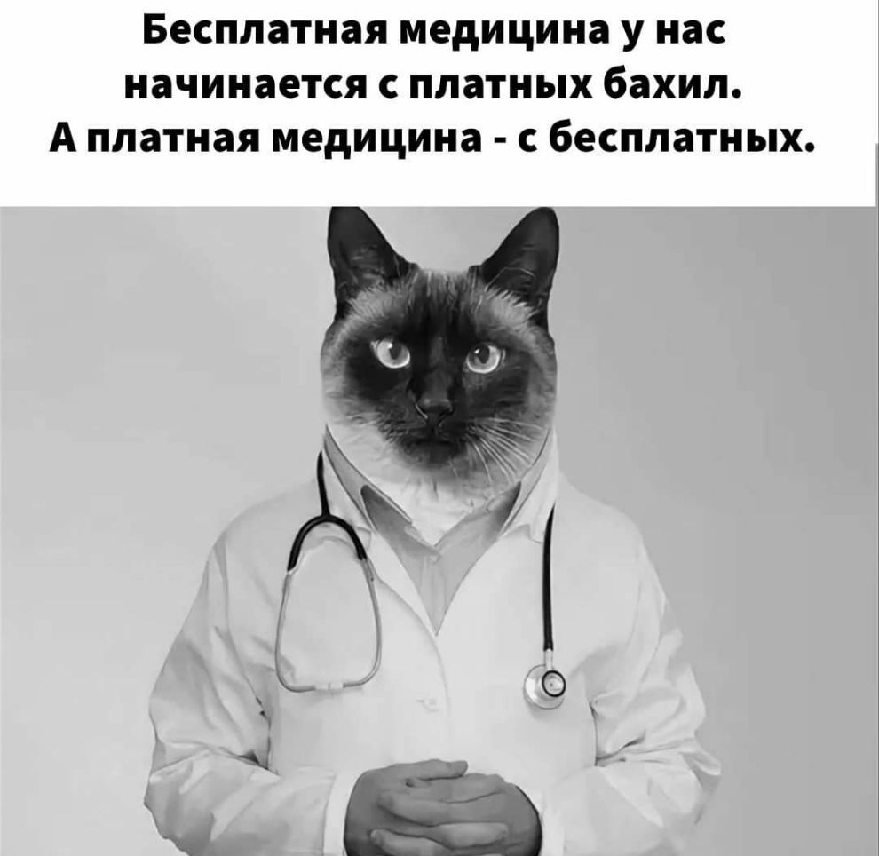 БеСПЛЗТНЗЯ медицина У нас начинается С платных бахил А ППЗТНЗЯ медицина С бесплатных