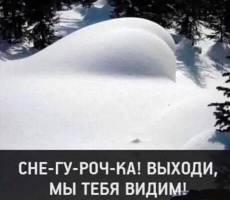 СНЕ ГУ РОЧ КА ВЫХОДИ МЫ ТЕБЯ ВИДИМ