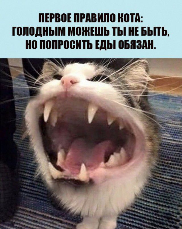 ПЕРВПЕ ПРАВИПП ПТА ПШВДНЫМ МПШЕШЬ ТЫ НЕ БЫТЬ ПВПРПВИТЪ шы ПЕНЗА