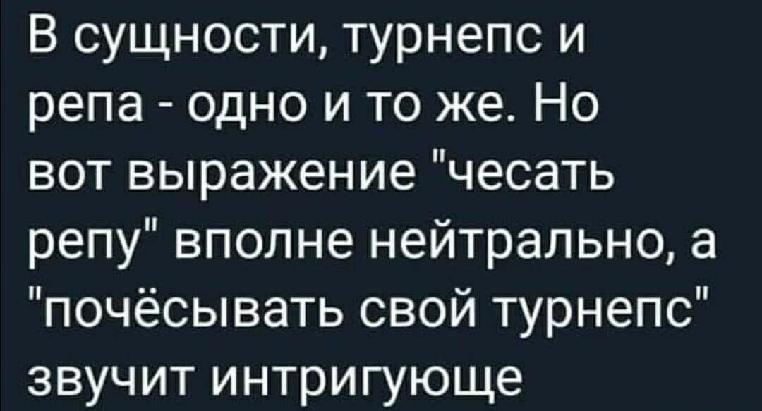 В сущности турнепс и репа одно и то же Но вот выражение чесать репу вполне нейтрально а почёсывать свой турнепс звучит интригующе