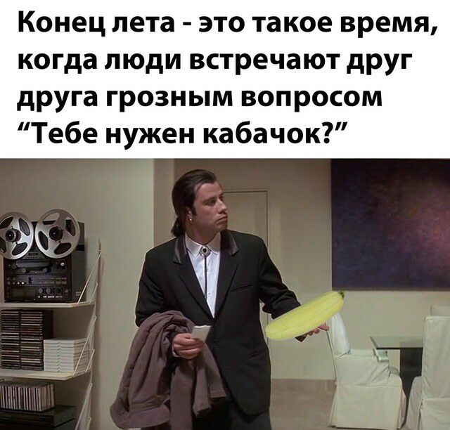 конец лета ЭТО Такое время когда ЛЮДИ встречают друг друга грозным вопросом Тебе нужен кабачок