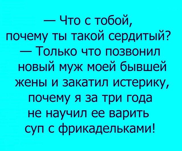 вЧто стобой почему ты такой сердитый Только что позвонил новый муж моей бывшей жены и закатил исгерику почему Я за ТРИ года не научил ее варить суп с Фрипшдепькамиі