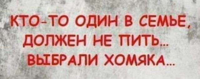 Тюото один в семье должен не пить _эывмли ХОМЯКА