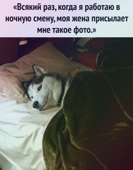 Всякий раз когда я работаю в ночную смену моя жена присылает мне такое фото