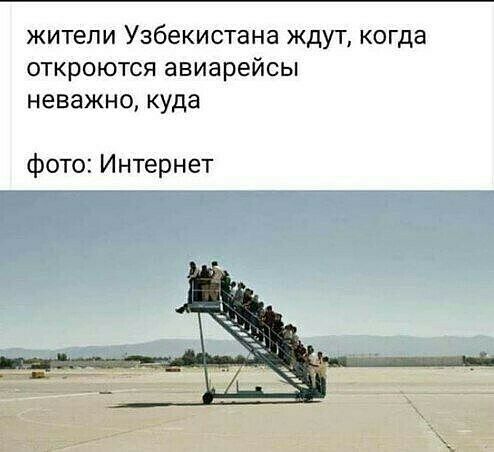 жители Узбекистана ждут когда откроются авиарейсы неважно куда фото Интернет