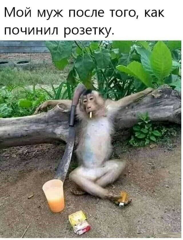 Мой муж после того как