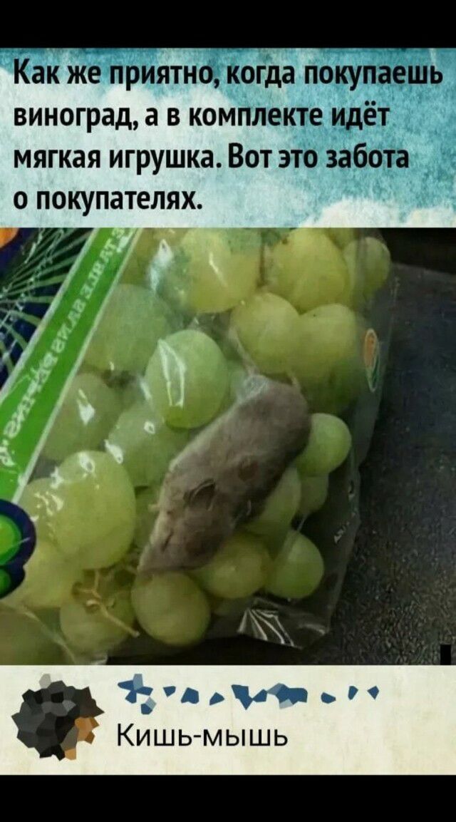 Как же приятно когда покупаешь виноград а в комплекте идёт мягкая игрушка Вот это забота о покупателях А Ъ в 34м Р Кишь мышь