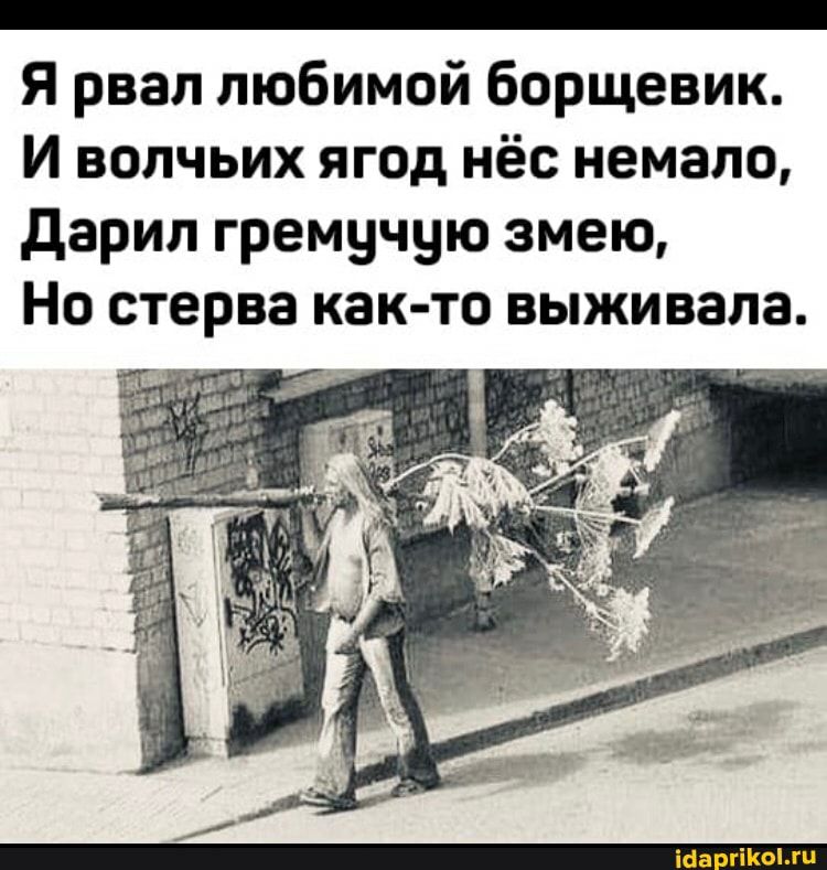 _ Я рвал любимой борщевик И волчьих ягод нёс немало дарил гремучую змею Но стерва как то выживала іаа гіКогц