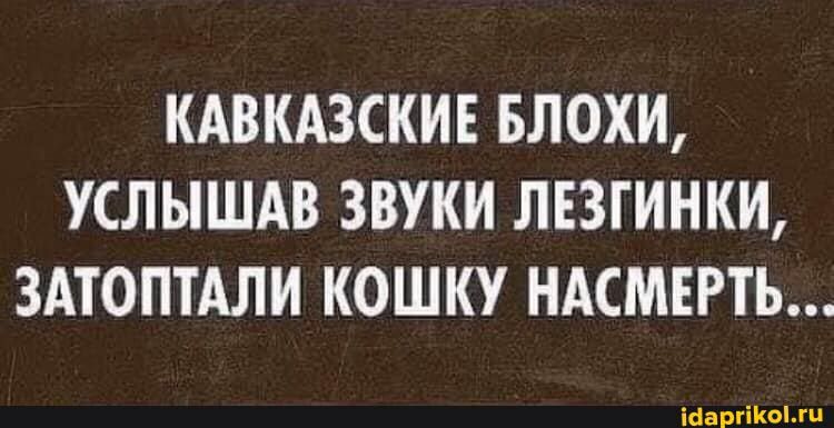 КАВКАЗСКИЕ БЛОХИ УСЛЫШАВ ЗВУКИ ЛЕЗГИНКИ ЗАТОПТАЛИ КОШКУ НАСМЕРТЬ ісаргіоги