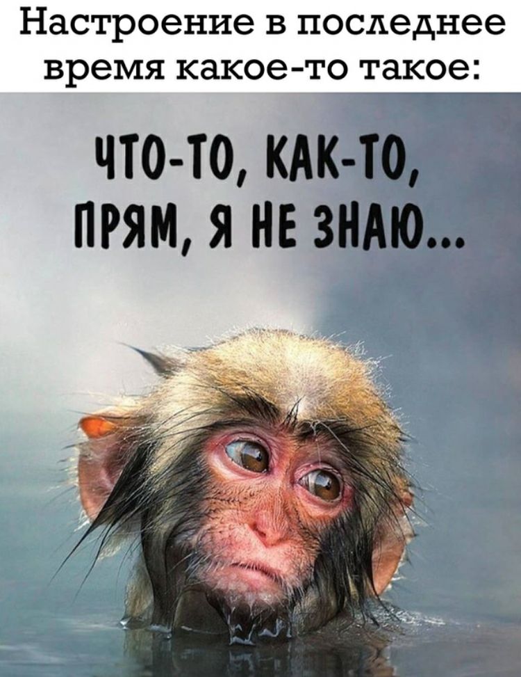 настроение В ПОСАеднее время какое то такое ЧТОТО КАК ТО ПРЯМ Я НЕ ЗНАЮ