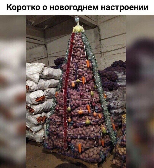 КОРОТКО О новогоднем НЗСТРООНИИ