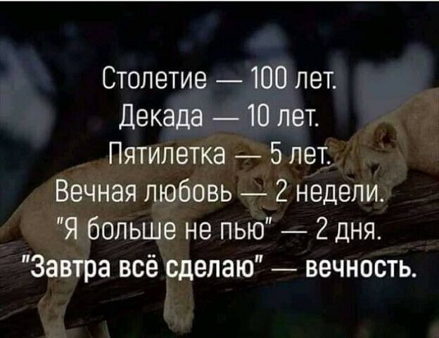Столетие 100 лет Декада 10 лет Пятилетка 5 лет Вечная любовь _ 2 недели Я больше не пью 2 дня Завтра всё сделаю вечность