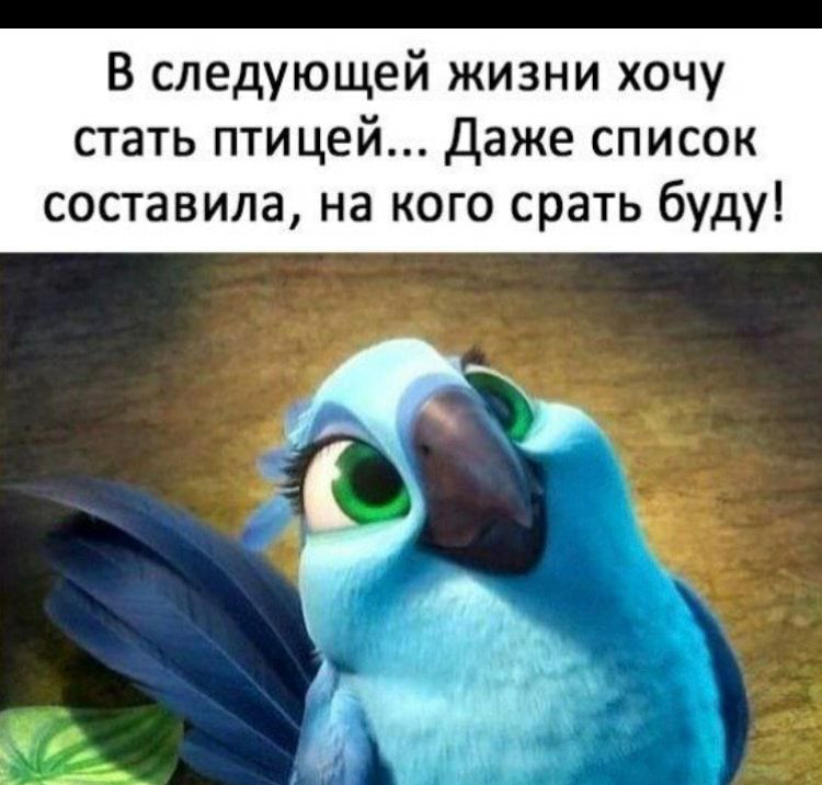 В следующей жизни хочу стать птицей Даже список составила на кого срать буду