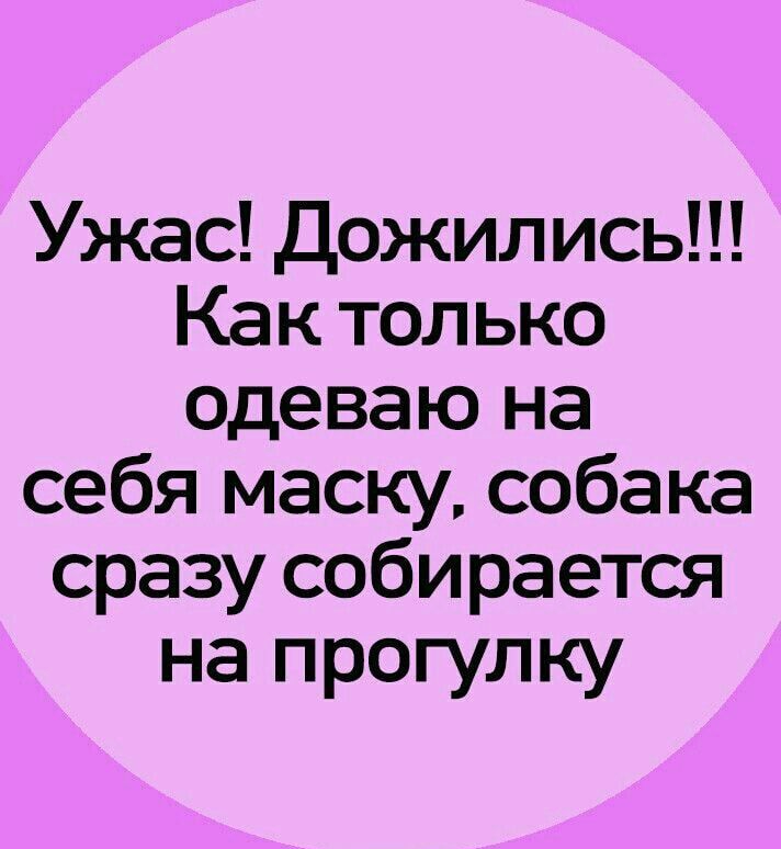 Ужас Дожились Как только одеваю на себя маску собака сразу собирается на прогулку