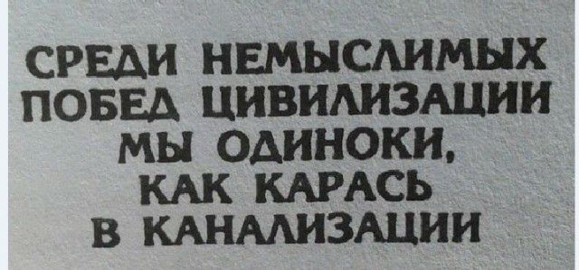СРЕДИ НЕМЫСАИМЫХ ПОБЕД ЦИВИАИЗШИИ МЫ одиноки КАК КАРАСЬ В КАНАШЗАЦИИ