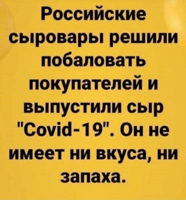 Российские сыровары решили побаловать покупателей и выпустили сыр Сочи 19 Он не имеет ни вкуса ни запаха