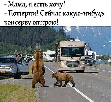 Мама я есть хочу Пошерпи Сейчас какуюнибудь