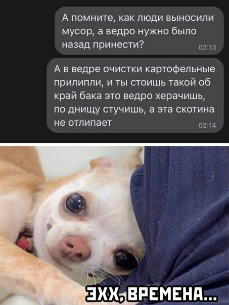 А помните как люди выносили мусор а ведро нужно было назад принести 2 13 А в ведре очистки картофельные прилипли и ты стоишь такой 06 край бака зто ведро херачишь по днищу стучишь а эта скотина не отлипает 02111 эхх времени