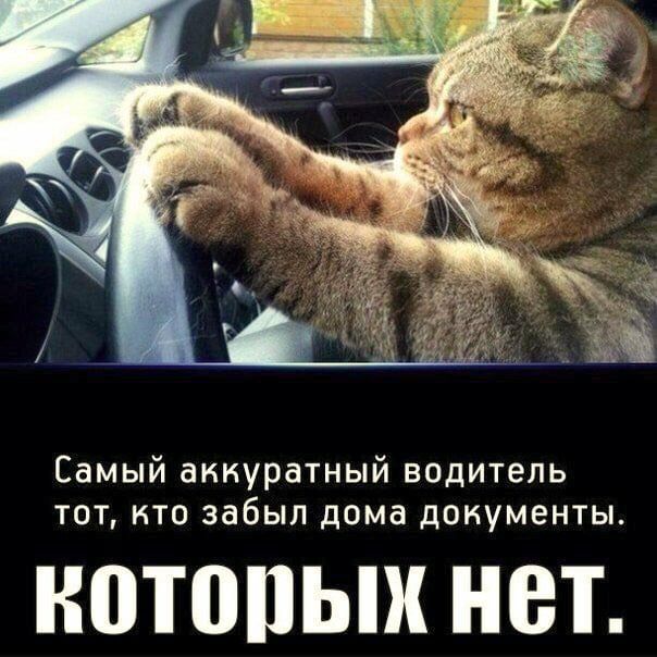 Самый аккуратный водитель тот кто забыл дома документы НОТППЬШ НВТ