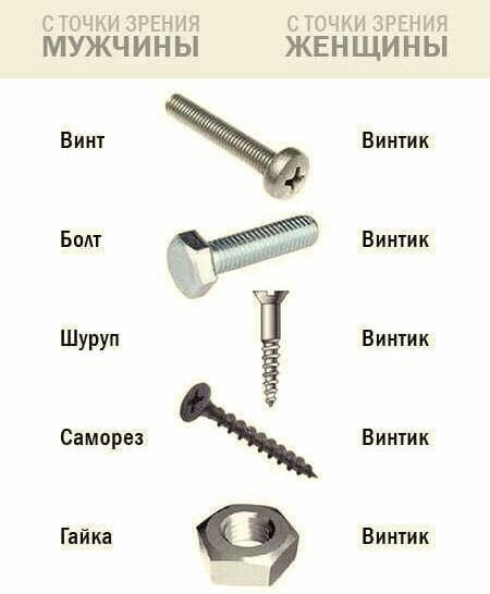 сточки ЗРЕНИЯ с точки зрения МУЖЧИНЫ ЖЕНЩИНЫ Винт Болт Винтик Винтик а Винтик