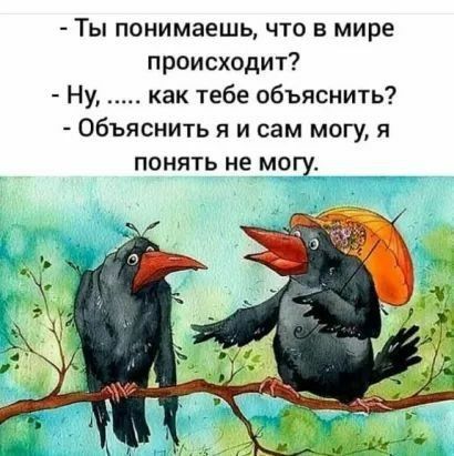 Ты понимаешь что в мире происходт Ну как тебе объяснить Объяснить я и сам могу я понять не могу