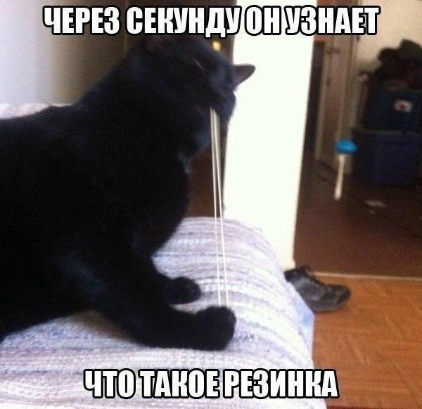 чтз еншндиЩШзнды