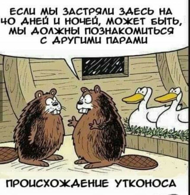 если мы 3Астр9ш здесь НА чо Аней и ночей может выть мы должны позндкомитьса с другими мрдми _ _ ___ 7 ПРОИСХОЖДЕНИЕ УТКОНОСА