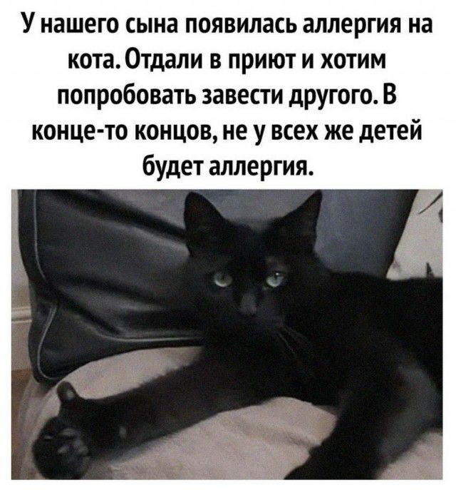 У нашего сына появилась аллергия на кота0тдали в приют и хотим попробовать завести другого В конце то концов не у всех же детей будет аллергия