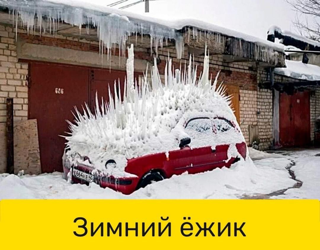 Зимний ёжик