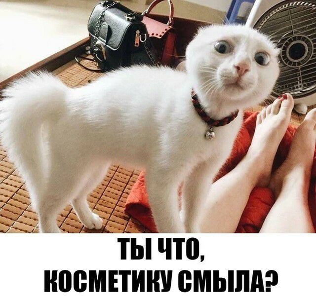 Ы что ШЮМЕТИШ ВМЫПА