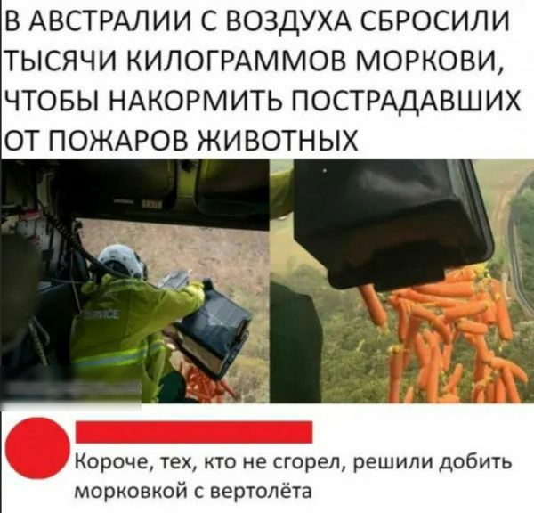 В АВСТРАЛИИ С ВОЗДУХА СБРОСИЛИ ТЫСЯЧИ КИЛОГРАММОВ МОРКОВИ ЧТОБЫ НАКОРМИТЬ ПОСТРАДАВШИХ ОТ ПОЖАРОВ ЖИВОТНЫХ Короче тех кто не сгорел решили добить морковкой с вертолёта