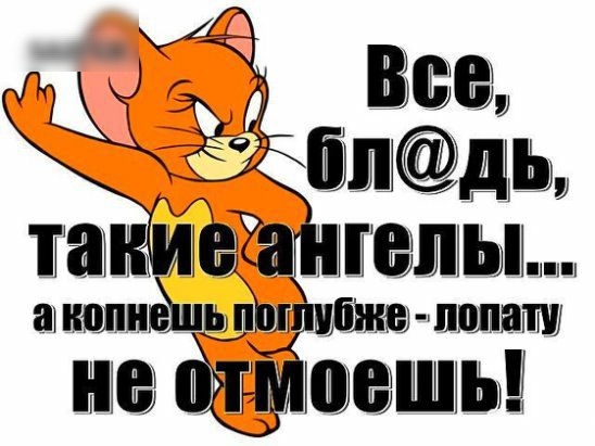 МВСВ тт 1 пьпч ашшиёпщЪш шпицы лишат КМЭШЛЫ