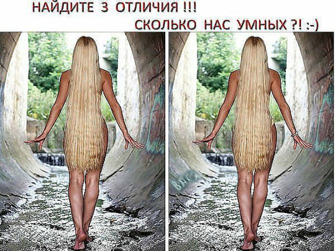НАЙДИТЕ З ОТЛИЧИЯ СКОЛЬКО НАС УМНЫХ