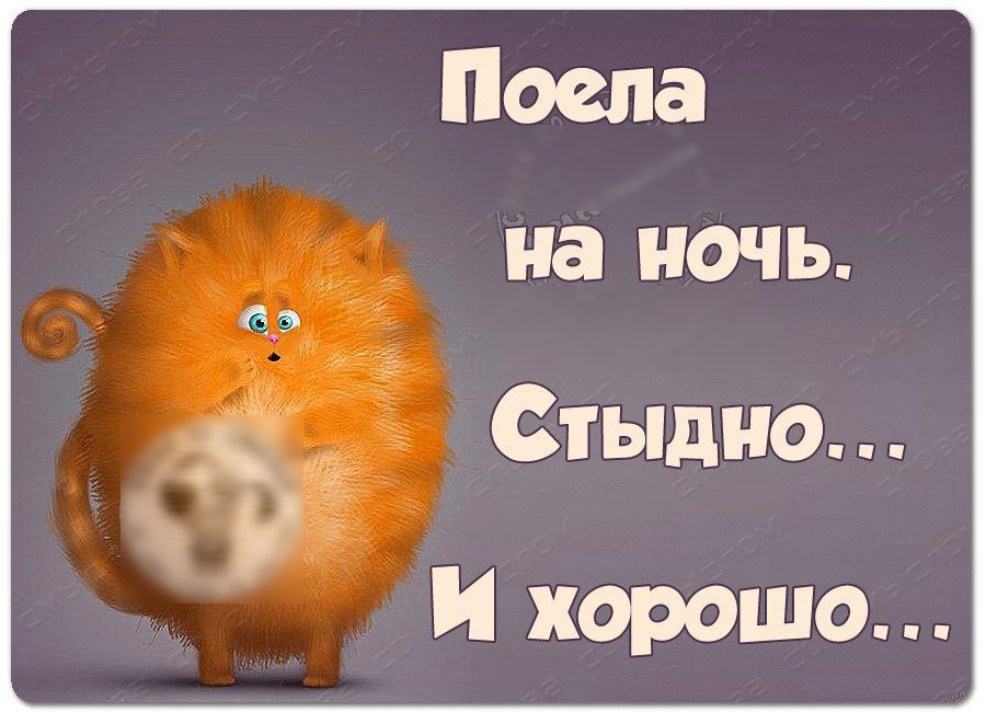 Посла на ночь Стыдно И хорошо
