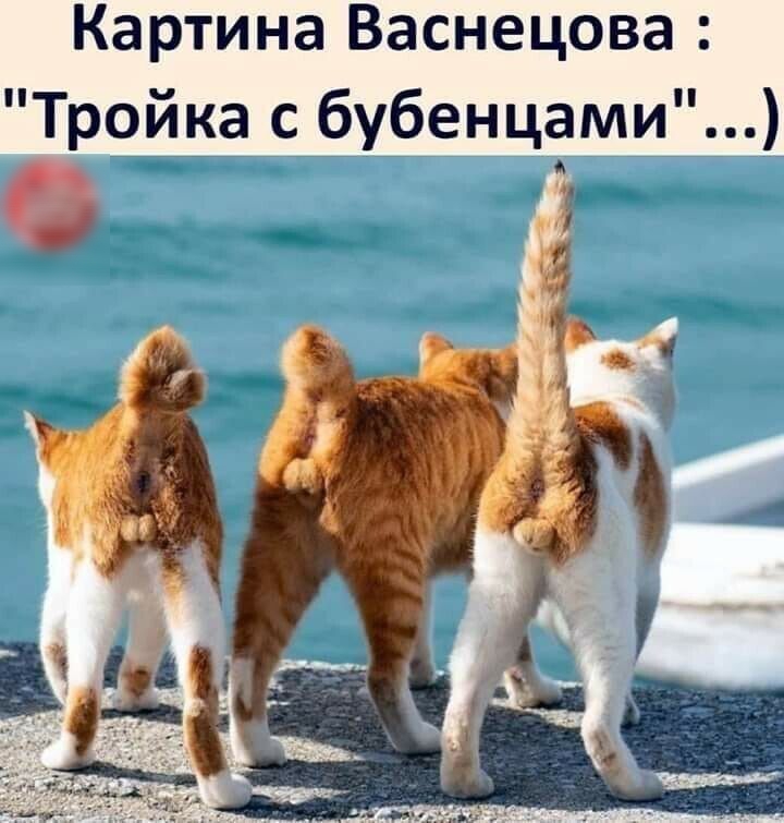 Картина Васнецова Тройка с бубенцами