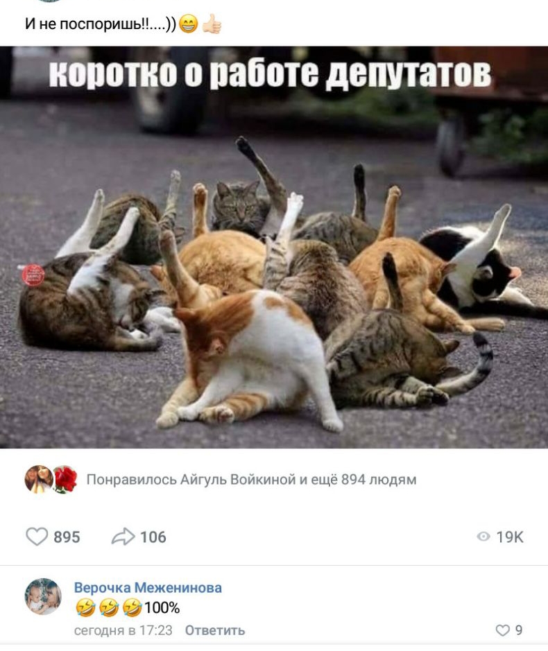 И не поспоришье _ коротко 0 паботе депутатов Понравилось Айгуль Воикинои и ещё 894 людям 895 106 Верт на іыішксшснова 3 Ответить