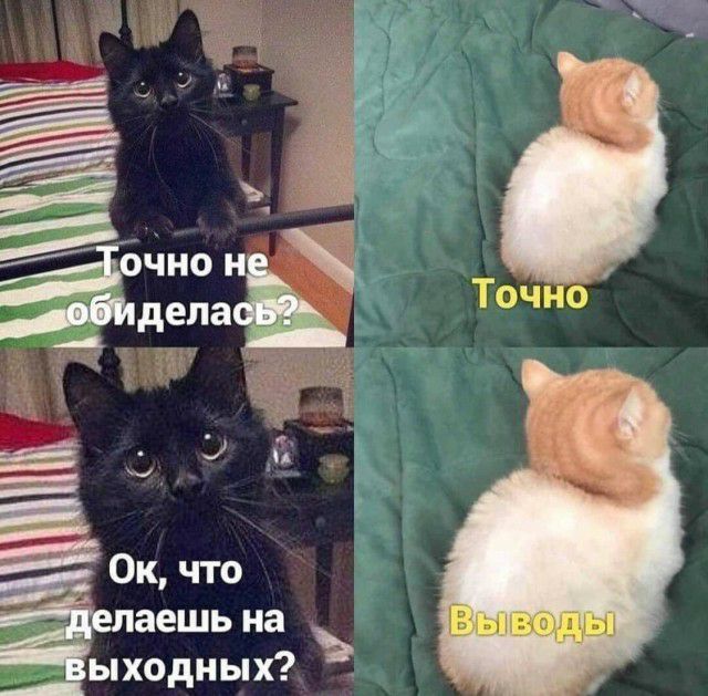 аешь на ходных
