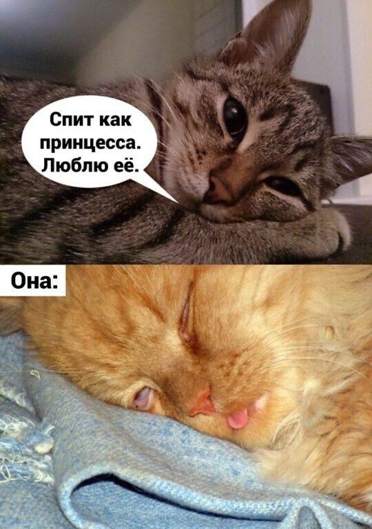 А Спит как 5 принцесса Люблю её Э _