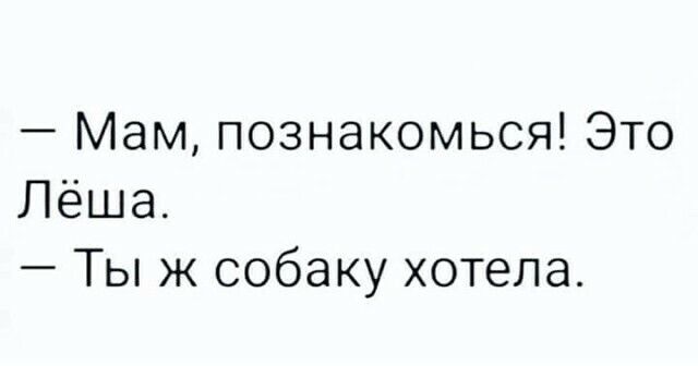 Мам познакомься Это Лёша Ты ж собаку хотела