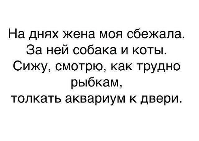 На днях жена моя сбежала За ней собака и коты Сижу смотрю как трудно рыбкам толкать аквариум к двери