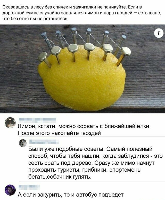 Оказавшись в лесу без спичек и зажигалки не паникуйте Если в дорожной сумке случайно завалялся лимон и пара гвоздей есть шанс что без огня вы не останетесь Лимон кстати можно сорвать с ближайшей ёлки После этого накопайте гвоздей Быпи уже подобные советы Самый полезный способ чтобы тебя нашли когда заблудился это сесть срать под дерево Сразу же мимо начнут проходить туристы грибники спортсмены бег