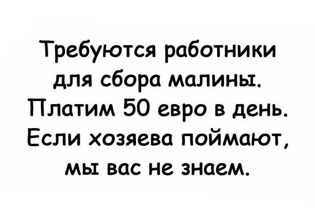Требуются работники для сбора малины Платим 50 евро в день Если хозяева поймают мы вас не знаем