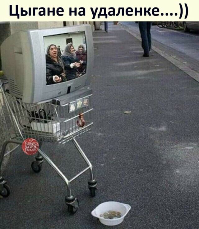 Цыгане на удаленке