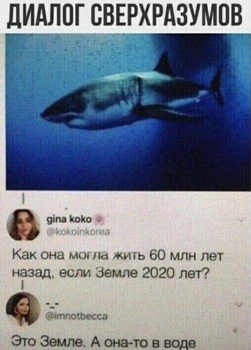 дИдЛПГ СВЕРХРАЗУМОВ гг _ т узда попа Как она мы на жигь 60 млн лет назад если Земле 2020 лет шчпошкса Это Земле А она то в воде