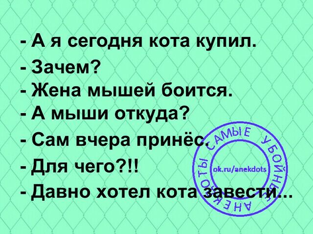 А я сегодня кота купил Зачем Жена мышей боится А мыши откуда Сам вчера принёс для чего давно хотел кота 3