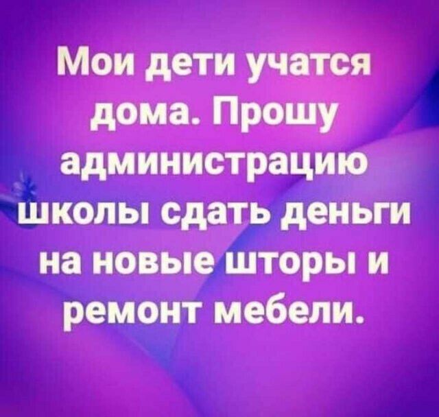 Мои дети учатся дома Прошу администрацию школы сдать деньги на новые шторы и ремонт мебели
