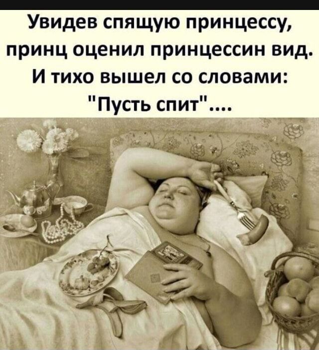 _ Увидев спящую принцессу принц оценил принцессин вид И тихо вышел со словами Пусть спит