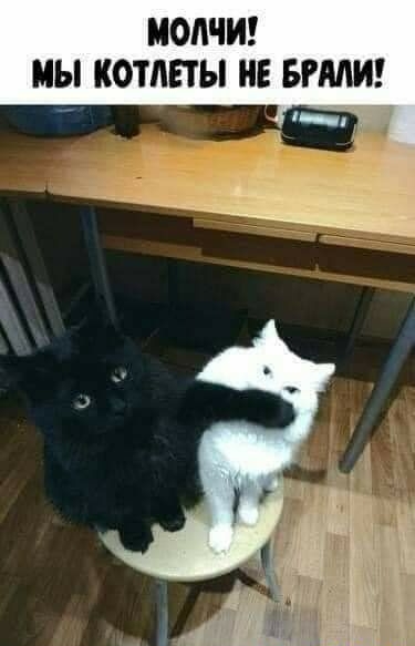 МОАЧИ МЫ КОТЛЕТЫ НЕ БРМИ _